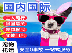 涟水机场货运国际宠物托运 【国